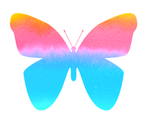 butterfly-472959_640
